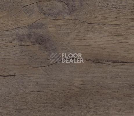 Кварцвиниловые полы FineFloor FF-1200 Strong 1259 Дуб Квантум фото 1 | FLOORDEALER